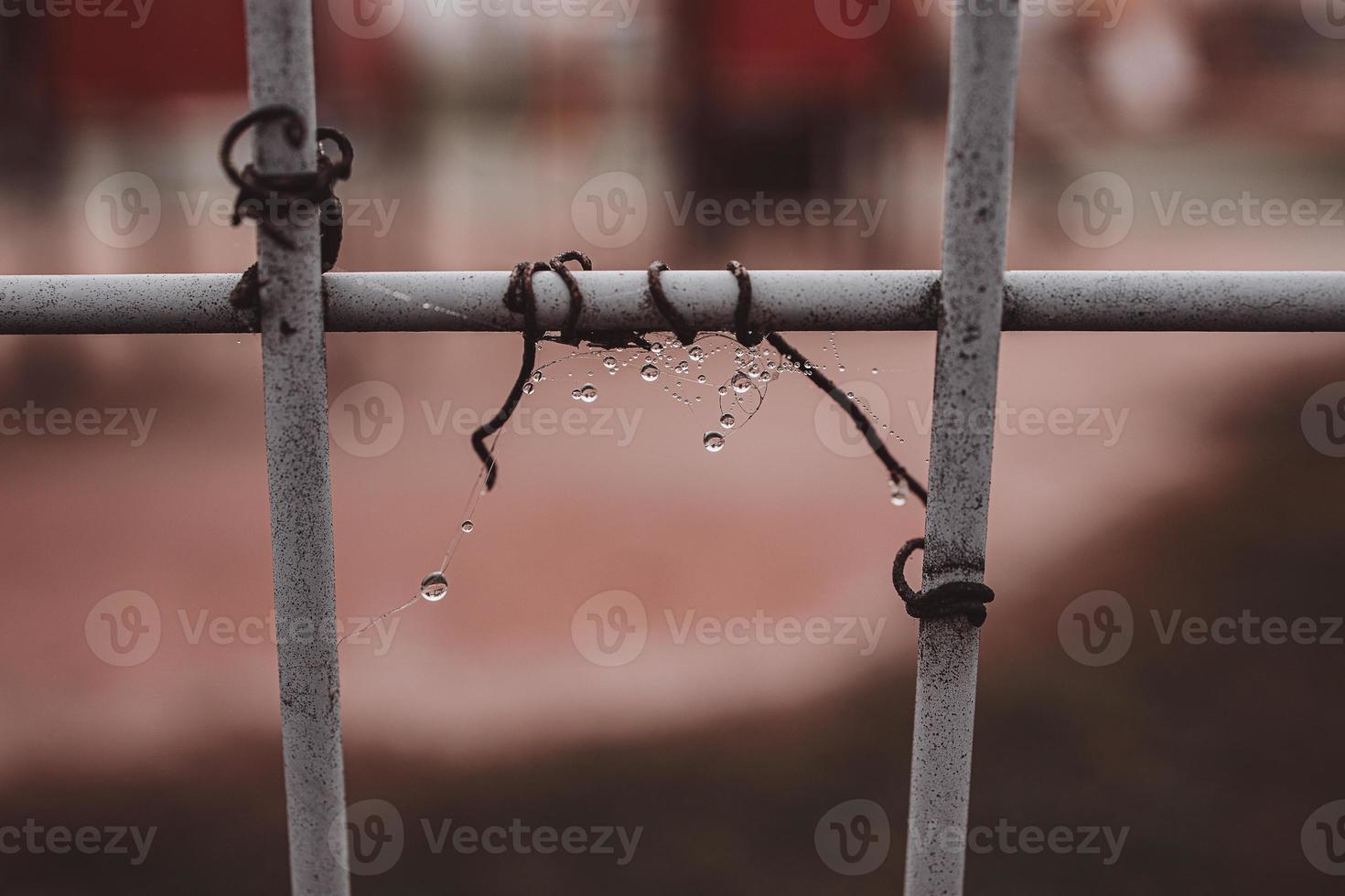 mist drops on cobwebs on a metal fence on a cold autumn day photo