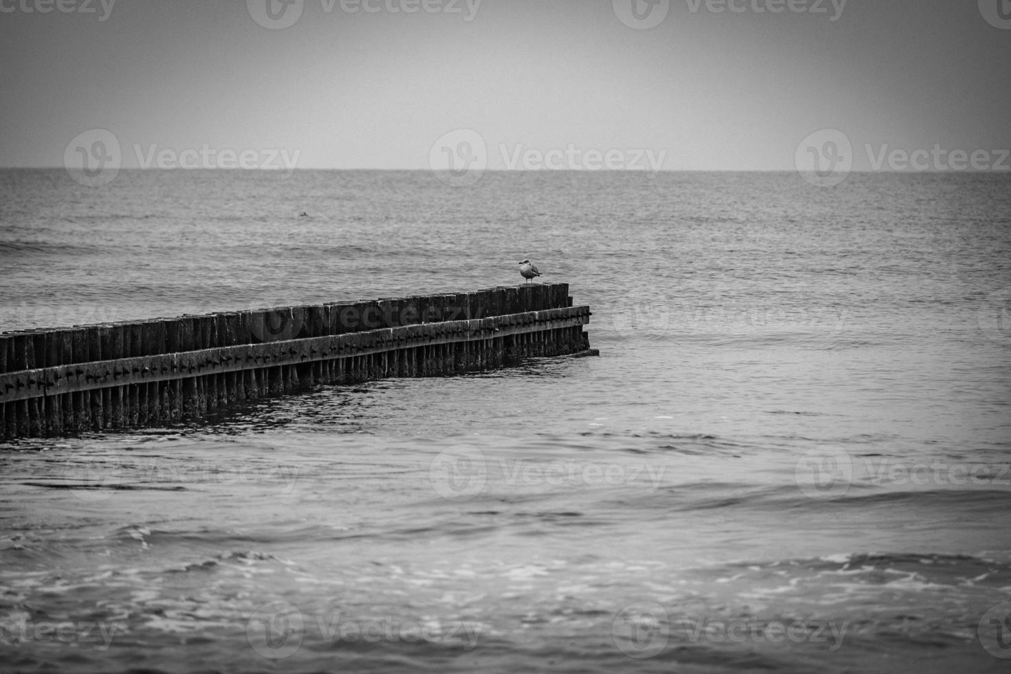 seaside landscape of the baltic sea on a calm day with a wooden breakwater photo
