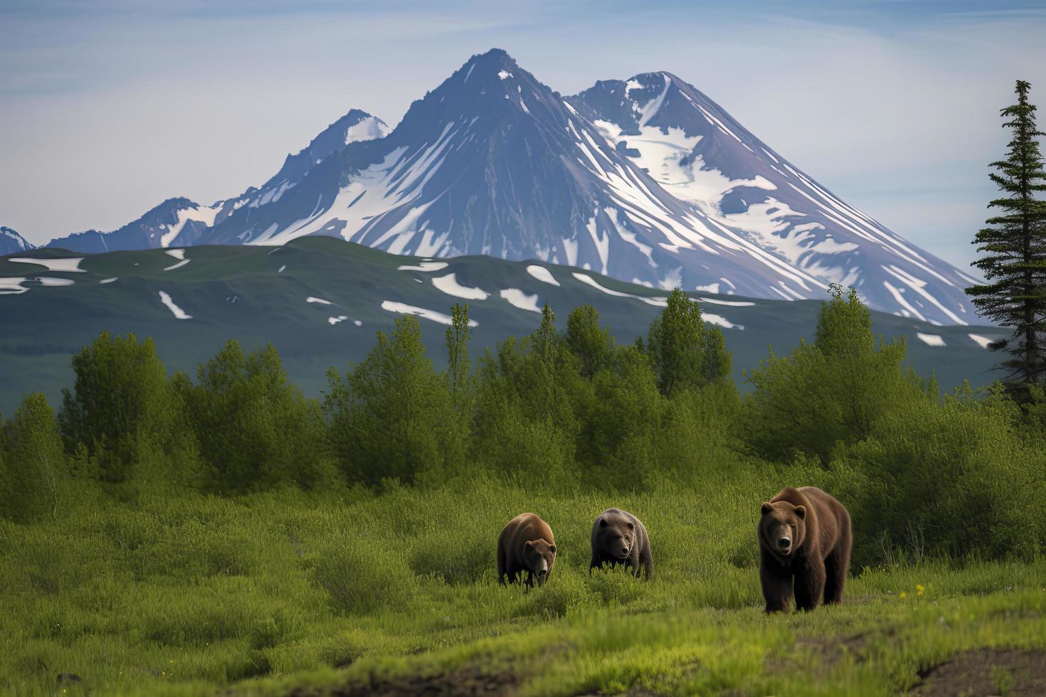 Brown Bear and Two Cubs against a Forest and Mountain Backdrop at Katmai National Park, Alaska photo