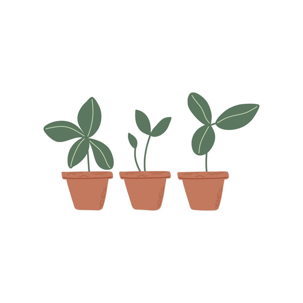Pots with sprouts. Set of simple plants with green leaves in brown pots. Green sprouts growing out from soil. Hand drawn vector illustration.