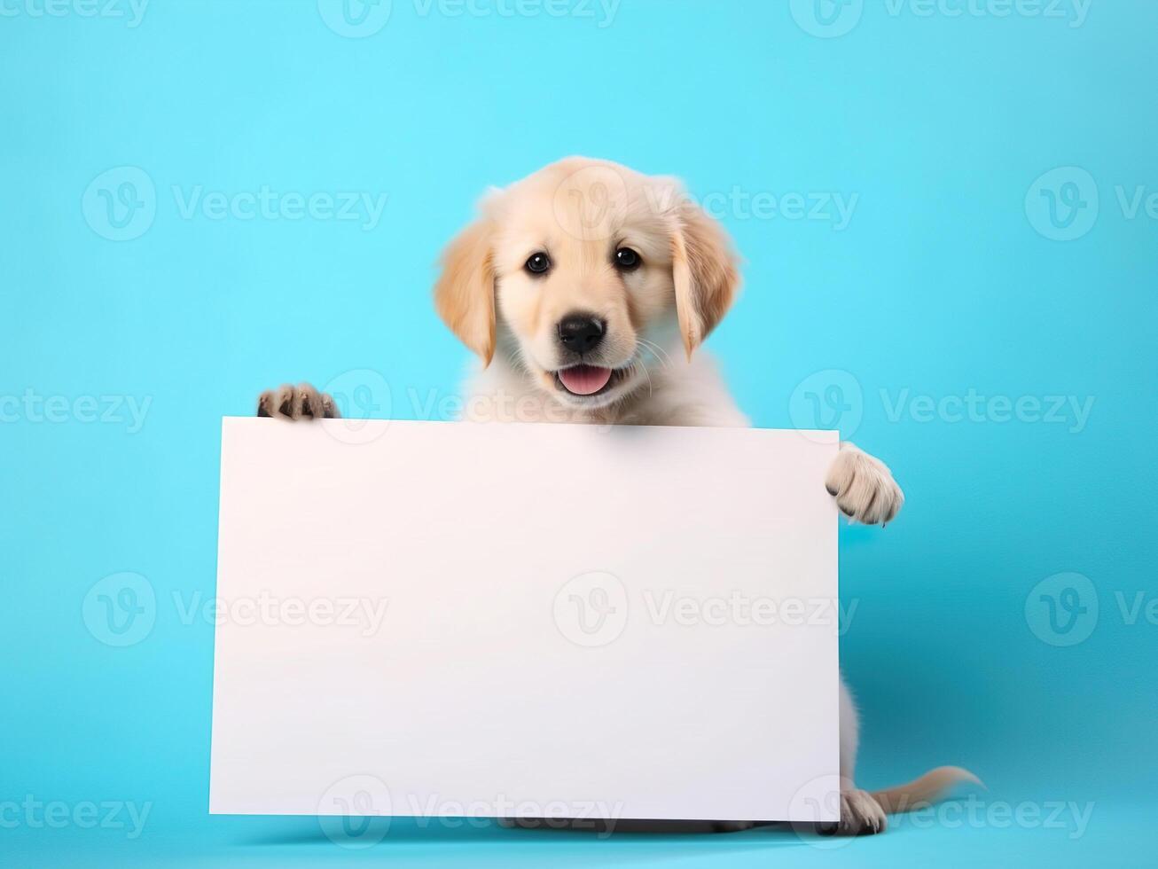 a cute happy golden retriever puppy with blank whiteboard on isolated pastel color background, playful and adorable pet, photo