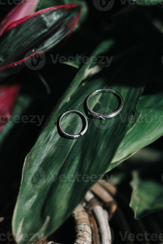 un par de anillos en un hoja foto