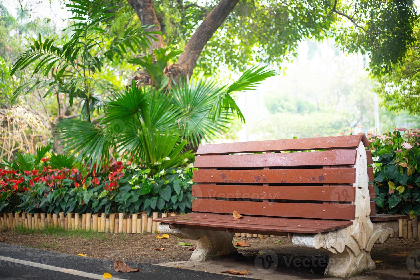 Public chair in park photo