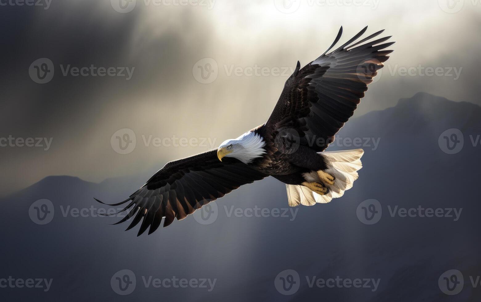 Bald eagle soaring in the sky with wings spread wide. The background is mountain. photo