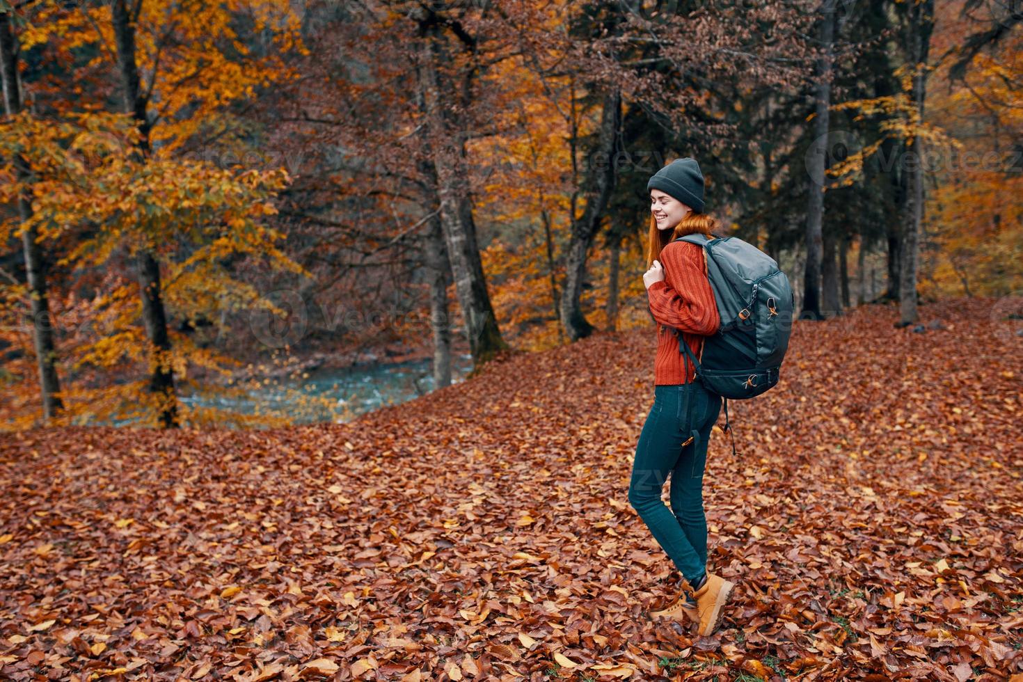contento joven mujer con un mochila en pantalones botas y un suéter son caminando en el otoño bosque cerca el alto arboles foto