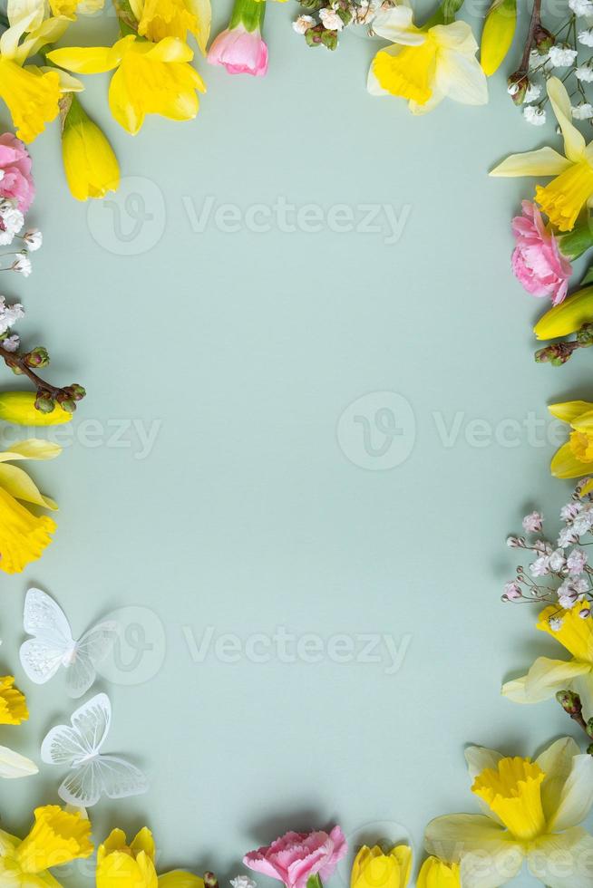 Spring flowers flat lay frame composition on colored background with copy space. Daffodils and willow with carnations top view photo