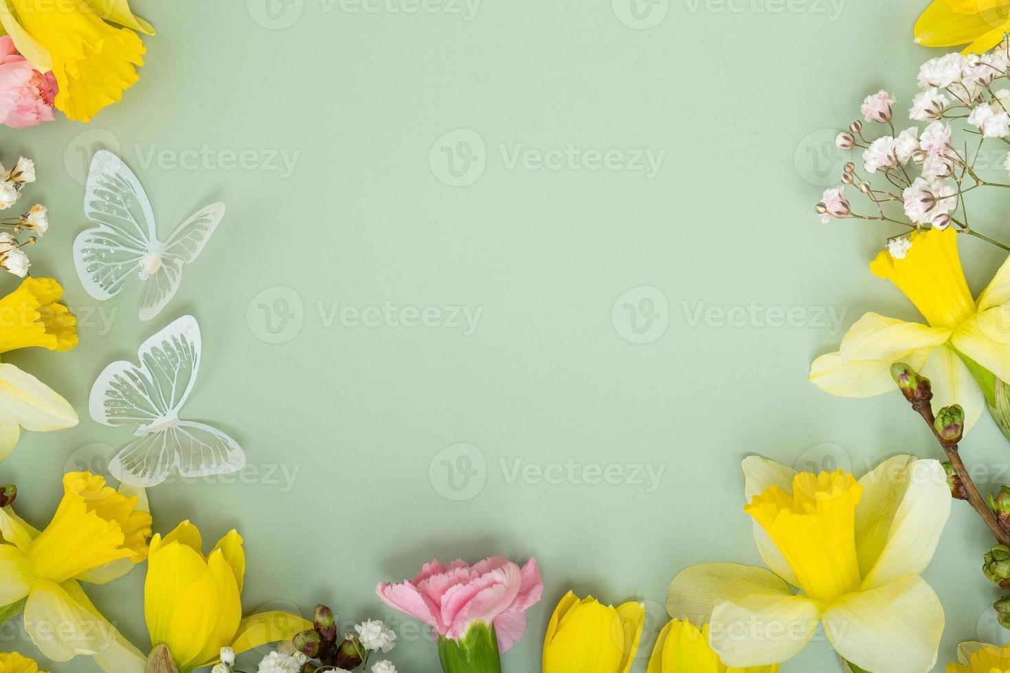 Spring flowers flat lay frame composition on colored background with copy space. Daffodils and willow with carnations top view photo