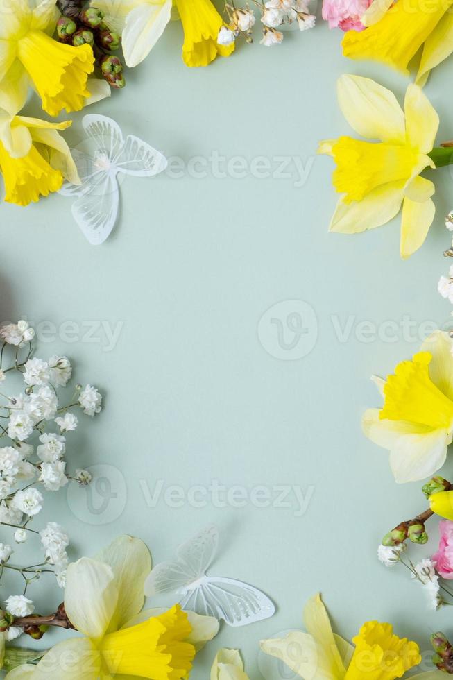 Spring flowers flat lay frame composition on colored background with copy space. Daffodils and willow with carnations top view photo