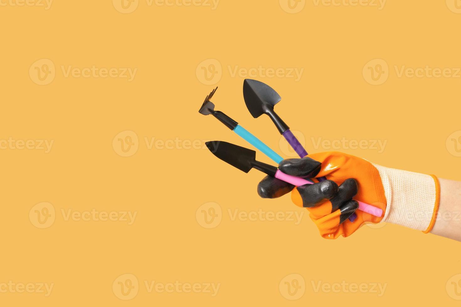 Hand in gardening glove with gardening tools on orange background photo