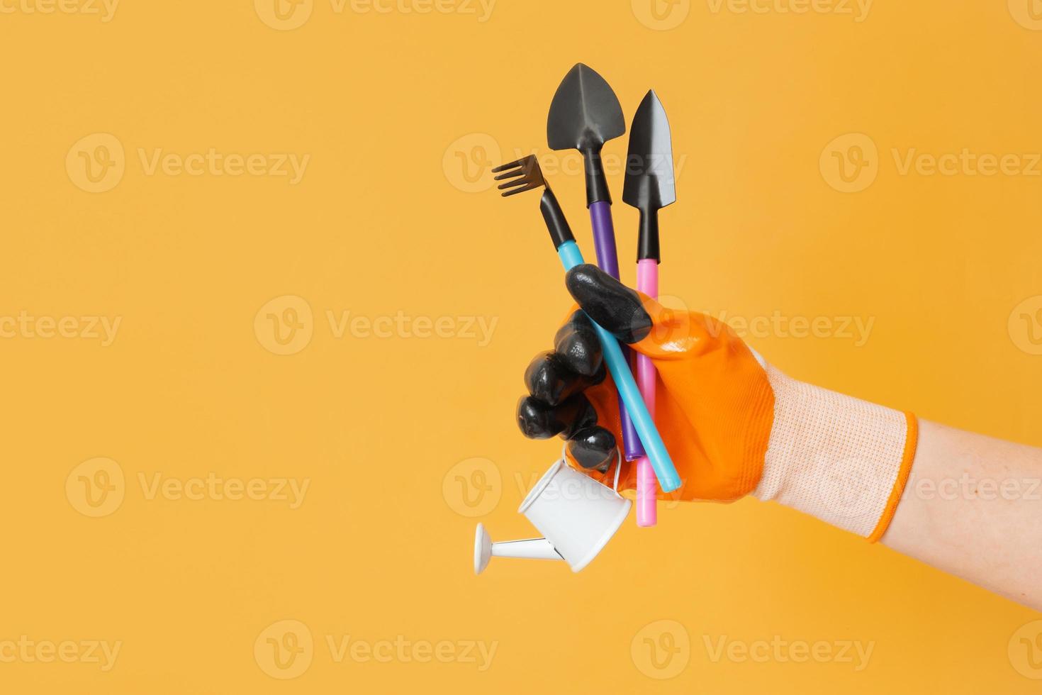 A hand in a glove holds gardening tools on orange background. Gardening concept photo