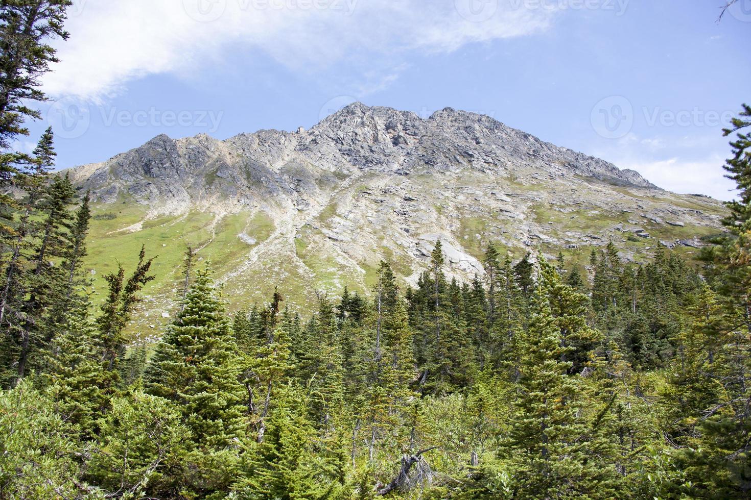 skagway pueblo Superior dewey lago bosque y montaña foto