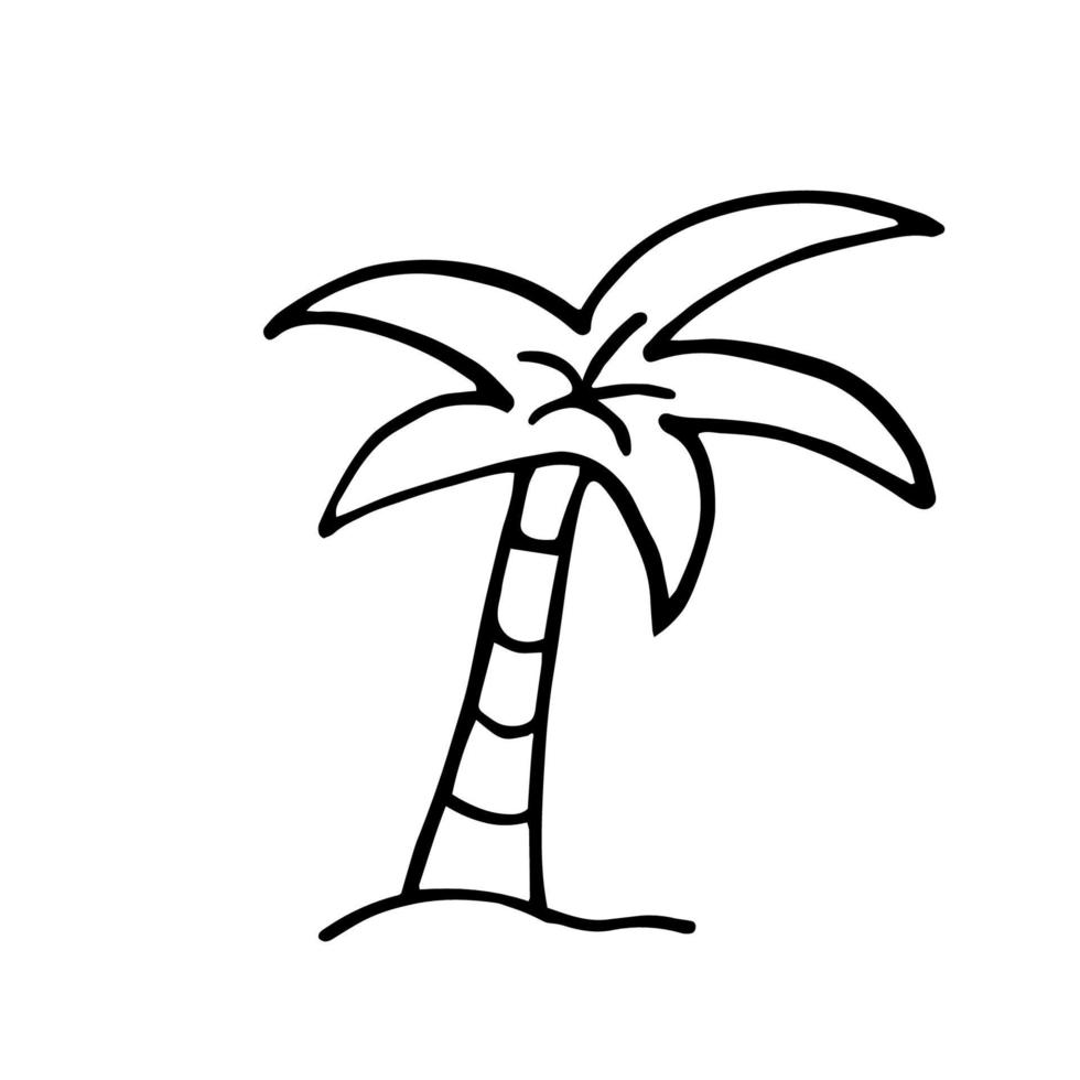 doodle palm tree illustration in vector. palm tree icon. Palm vector illustration on white bacground