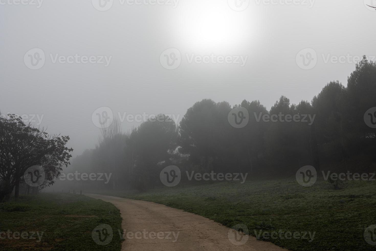 l calm landscape with road in misty gray winters day photo