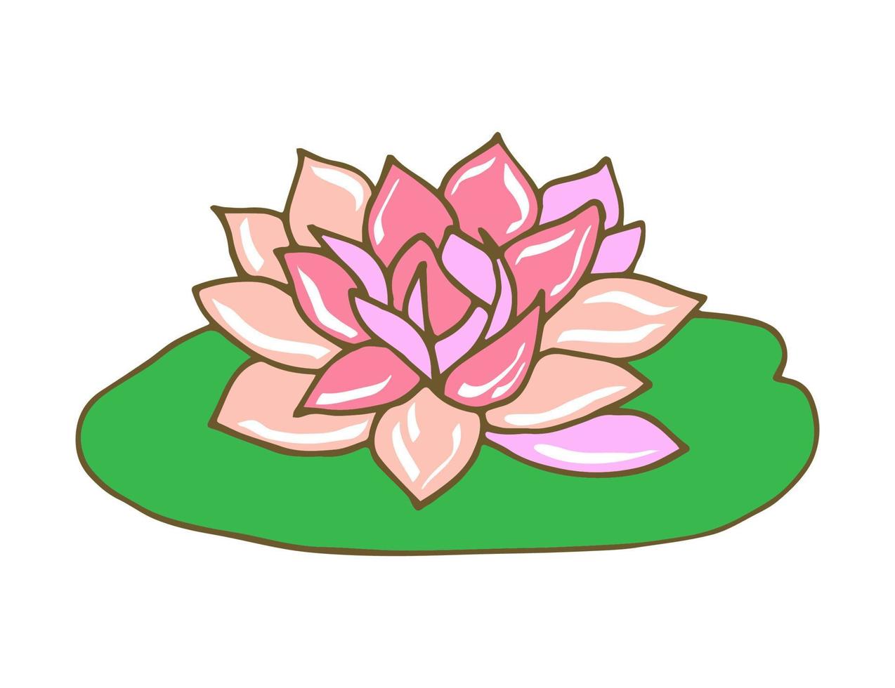 Hand-drawn color vector illustration. Lotus, water lily isolated on white background. Traditional oriental flower, plant, nature. For stickers, labels, cosmetics, beauty salon.