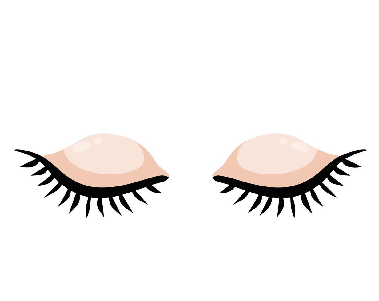 Two Closed eye. Detail of face. Eyelid with eyelashes. Flat cartoon illustration isolated on white background vector