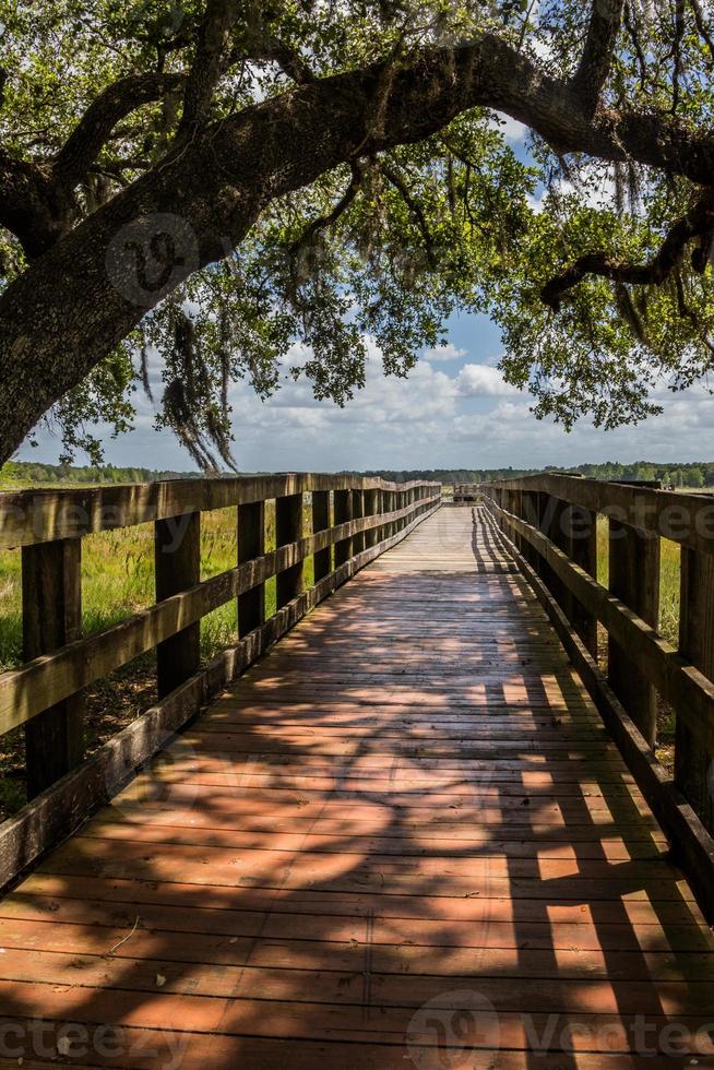 Wooden boardwalk in a park photo