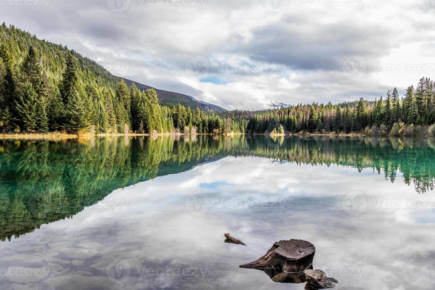 Clear water in a lake surrounded by trees. Valley of the Five Lakes, Jasper National Park, Alberta, Canada photo