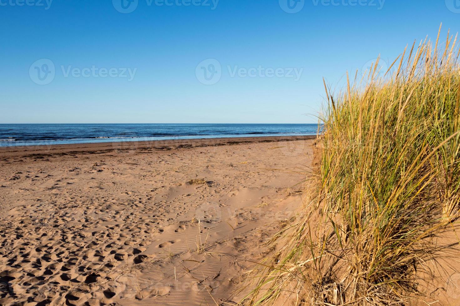 The beach at Covehead Harbour Lighthouse, Prince Edward Island photo