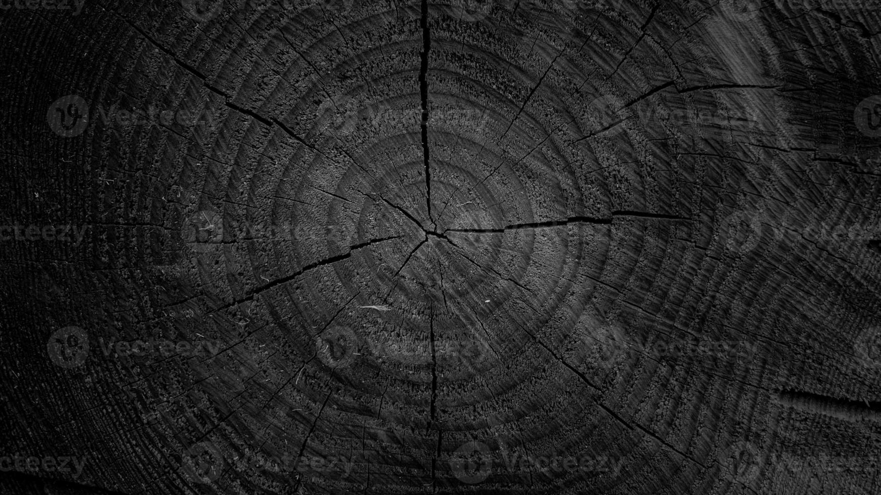 Sawed wood natural wooden background photo