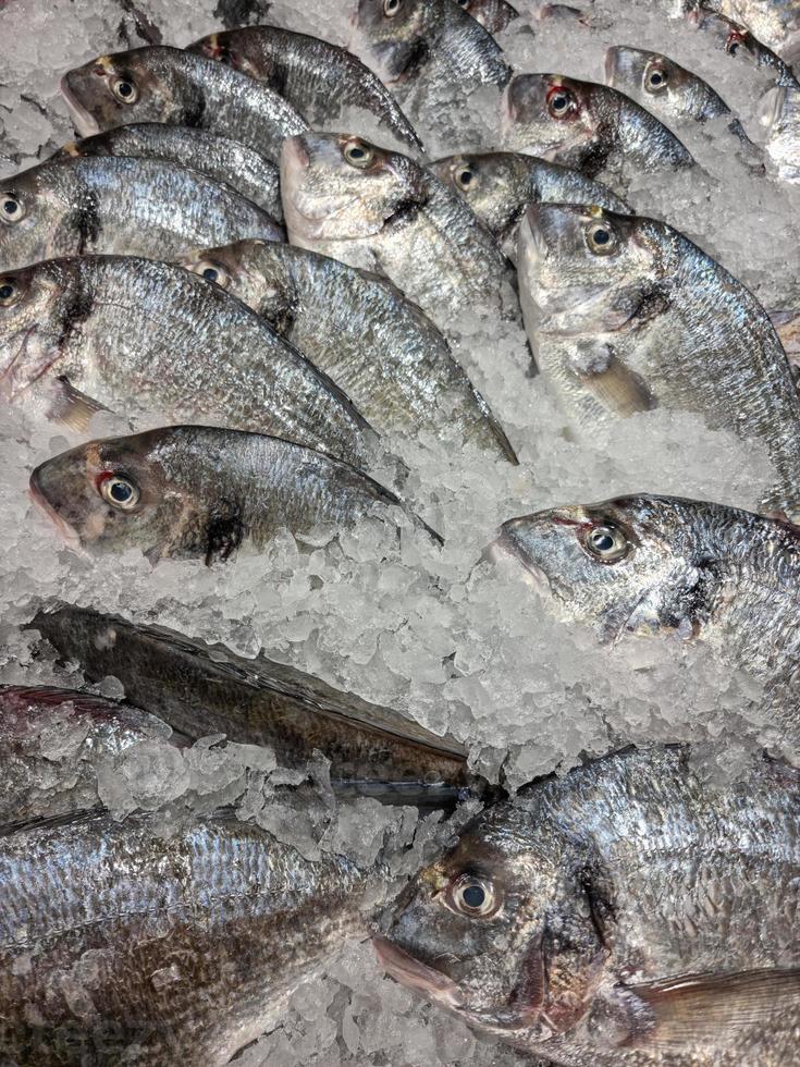 Fresh ocean fish and seafood at the fish market photo