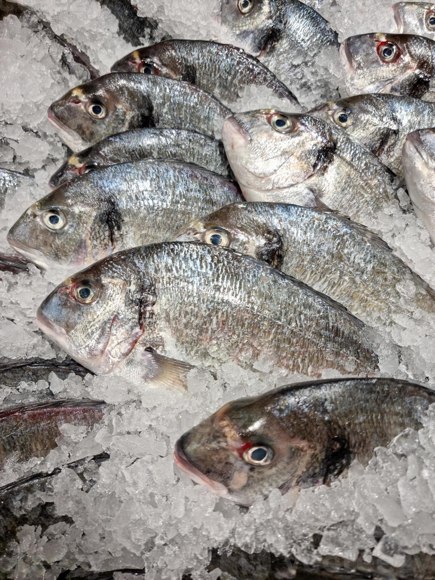 Fresh Ocean Fish And Seafood At The Fish Market 22466782 Stock Photo At fresh-ocean-fish-and-seafood-at-the-fish-market-22466782-stock-photo-at