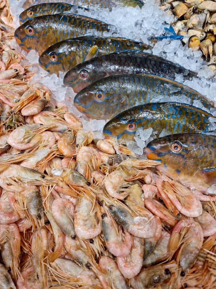 Fresco Oceano pescado y Mariscos a el pescado mercado foto