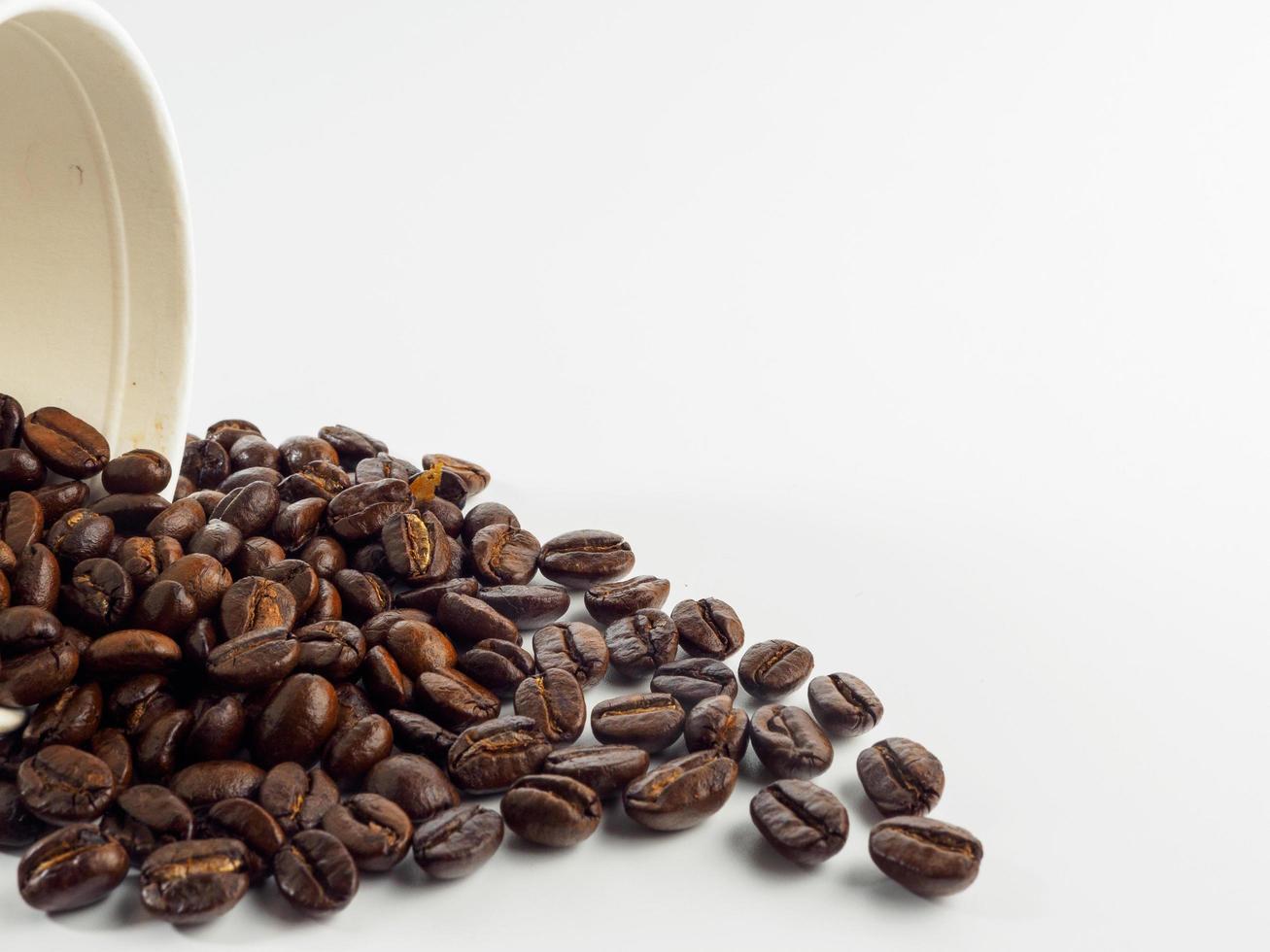 Arabica coffee beans roasted fragrant ready to make coffee that people like to drink placed on the white background looks beautiful photo