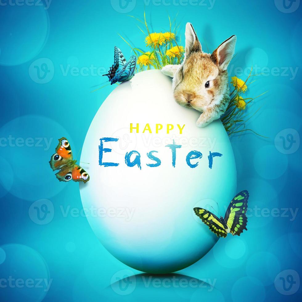 Funny Easter bunny. Happy Easter holiday concept. photo