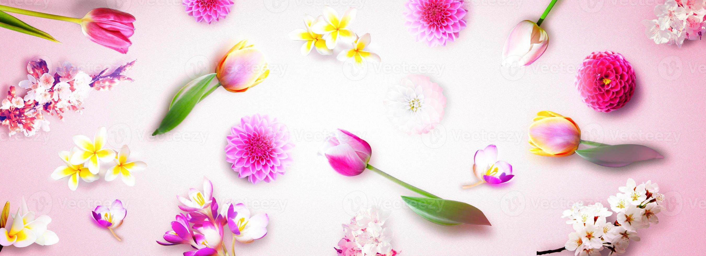 Flowers and herbs. Spring creative floral composition. photo