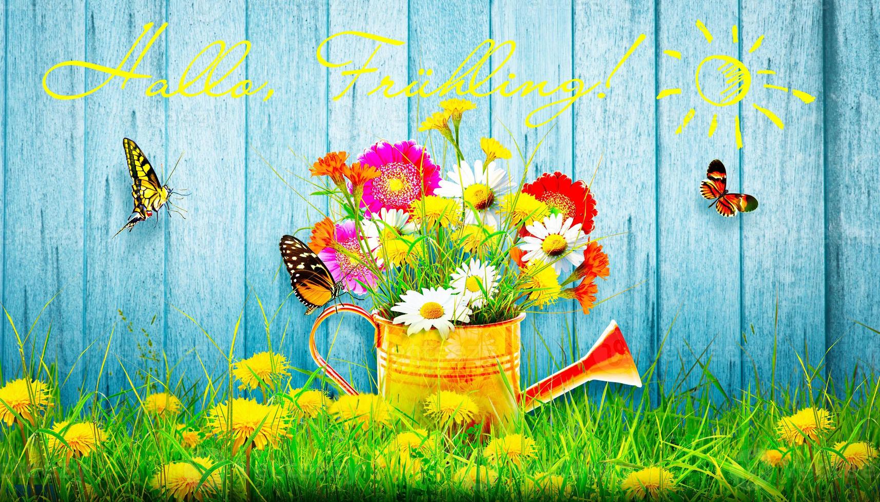 Colorful wild flower bouquet in a watering can with butterflies. photo