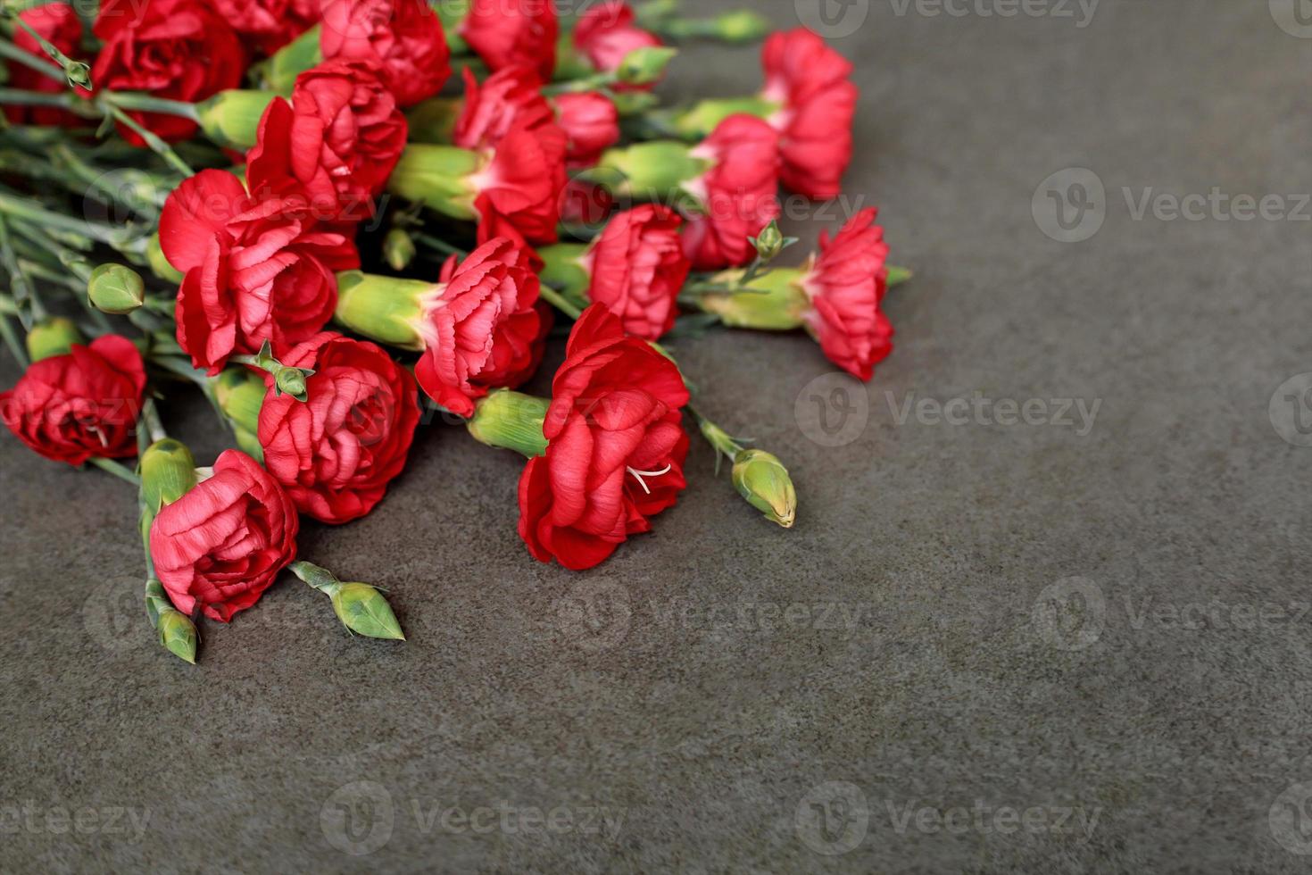 Bouquet of red carnations in top left corner on gray stone background. World War memory symbol. Remember Heroes. Victory Day. Veterans Day. Memorial Day. Greeting card with place for text. photo