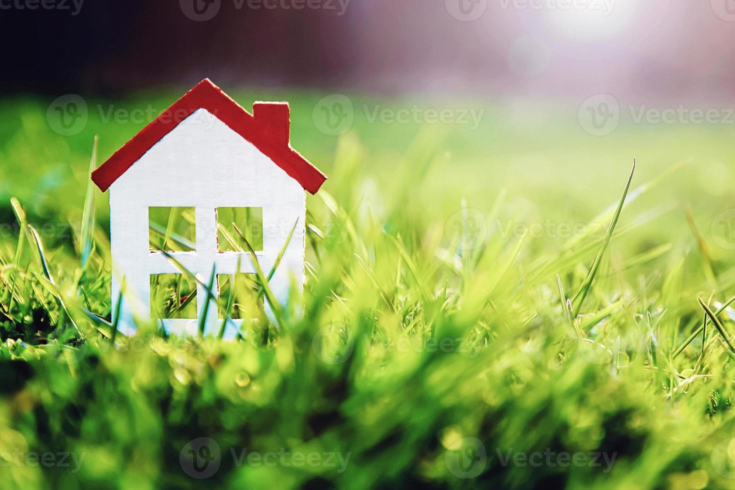 Small white cardboard house on the green lawn photo