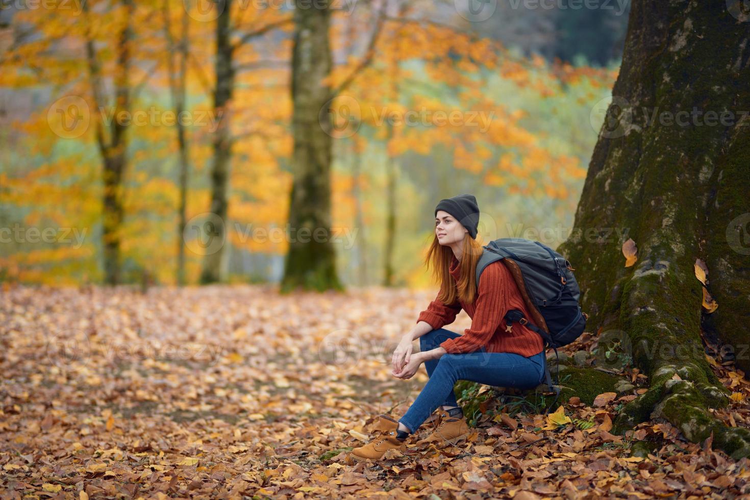 retrato de un mujer en un suéter y pantalones y un sombrero debajo un árbol en el otoño bosque foto