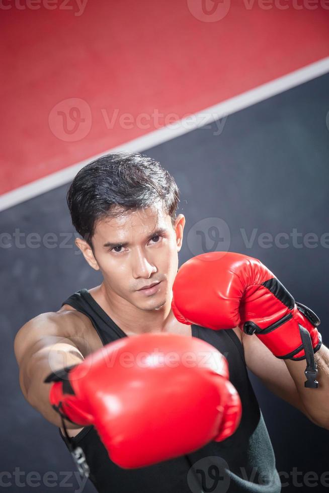 Portrait of Strong young athlete sportsman muay thai boxer fighting in gym, muscular handsome boxing man fighter with copy space photo