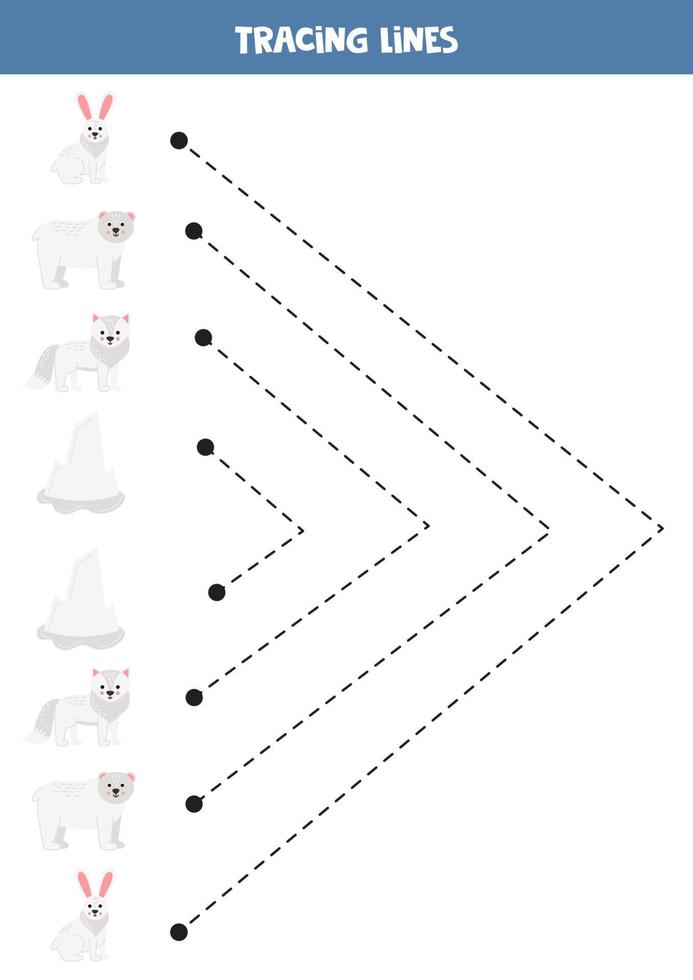 Tracing lines for kids. Cartoon arctic animals. vector