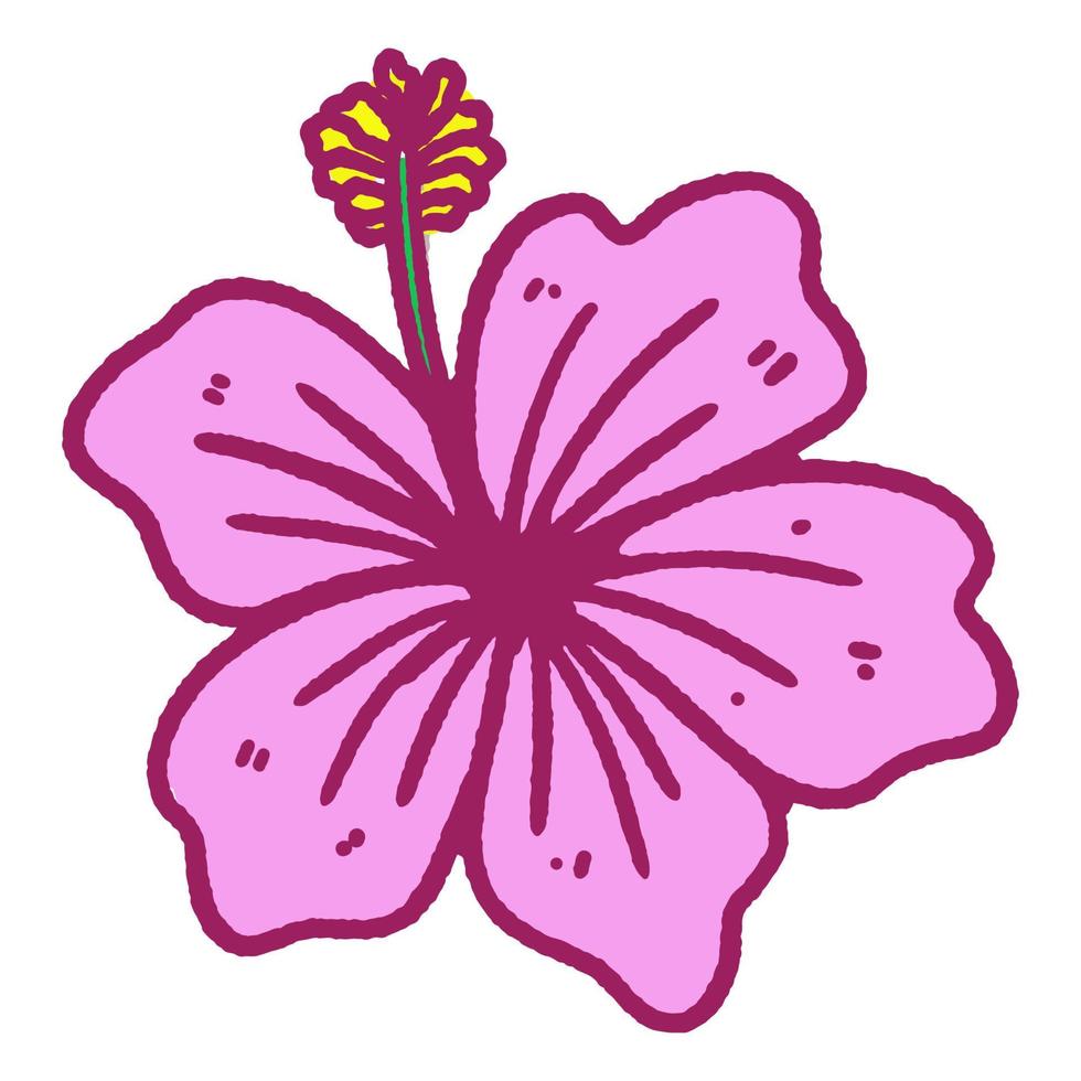 Hand drawn hibiscus flower cartoon illustration isolated on white vector