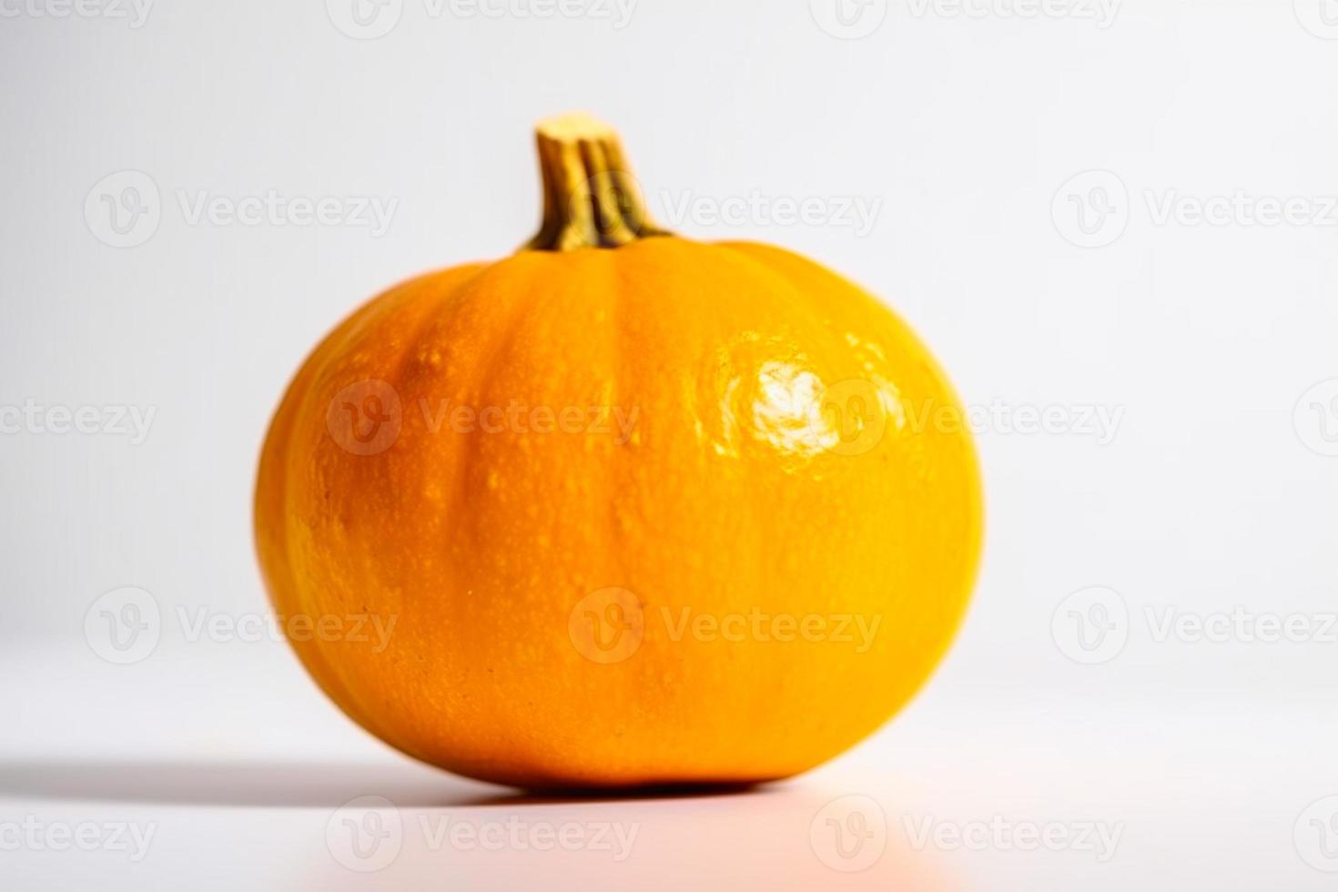 Close up of Squash on white background with copy space. Healthy vegan vegetarian food concept photo