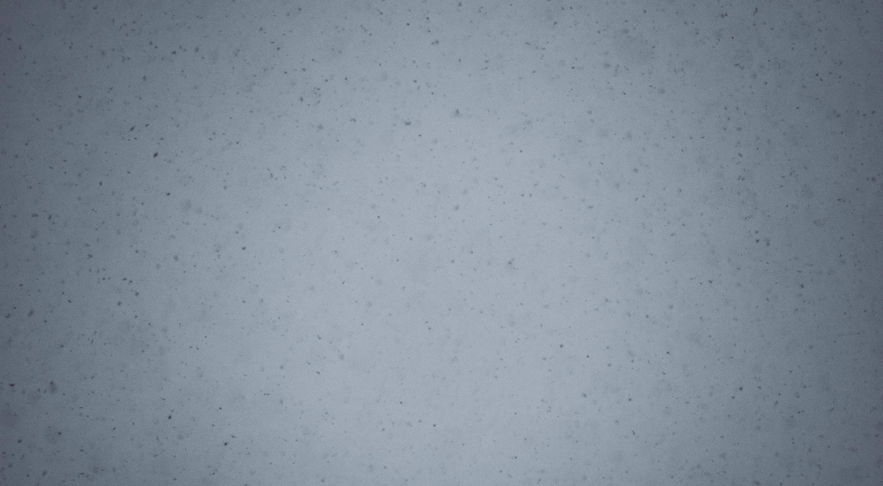 Snowflakes on the gray sky abstract background photo