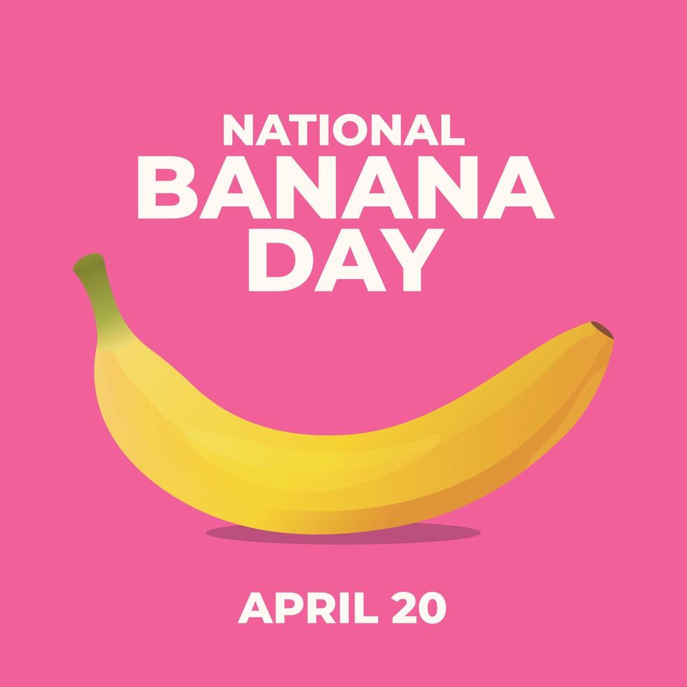 nacional plátano día. plátano día vector ilustración. plátano vector diseño. nacional plátano día vector diseño para celebracion.