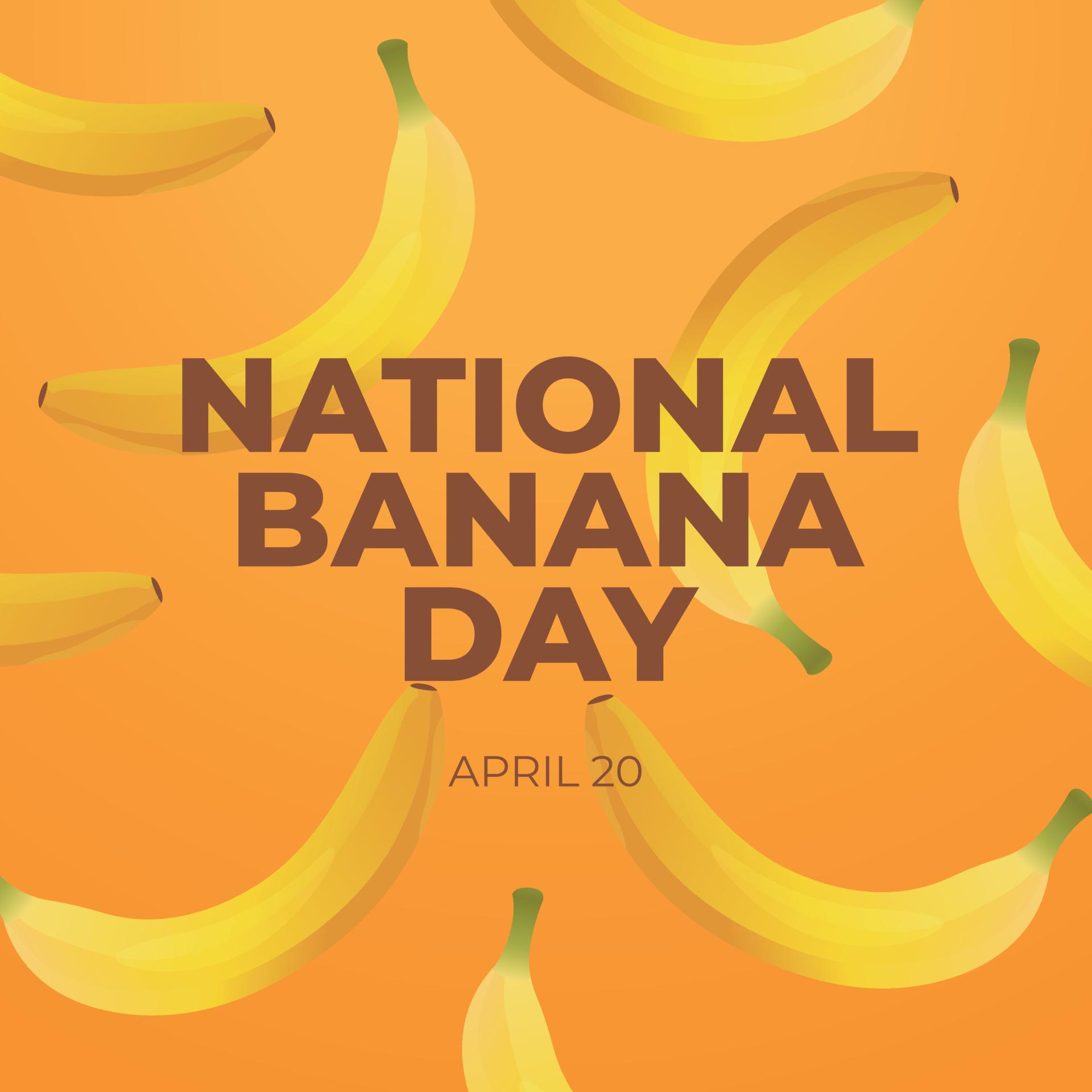 national banana day. banana day vector illustration. banana vector