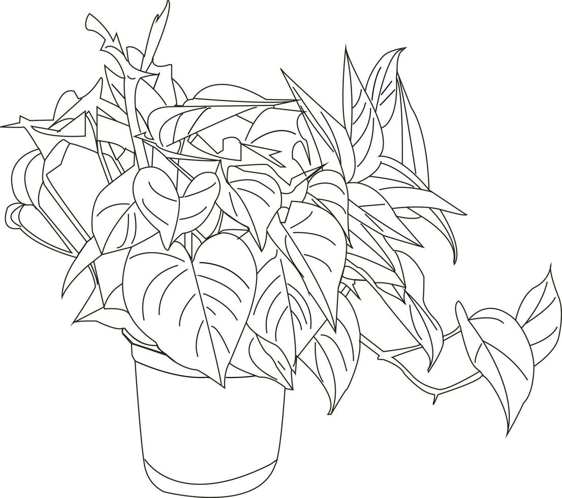 Money plants line art vector