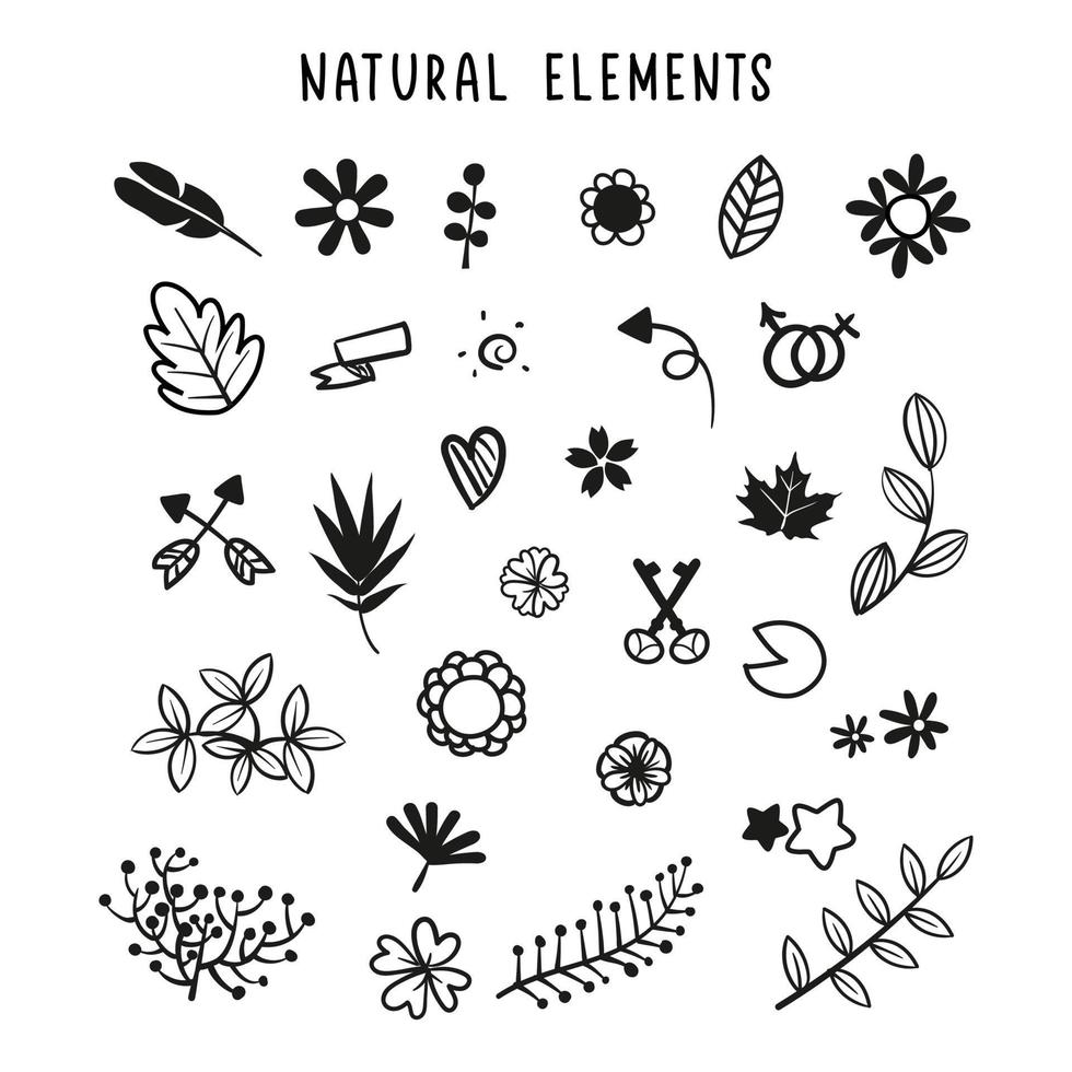 set of floral and botanical elements. Vector illustration