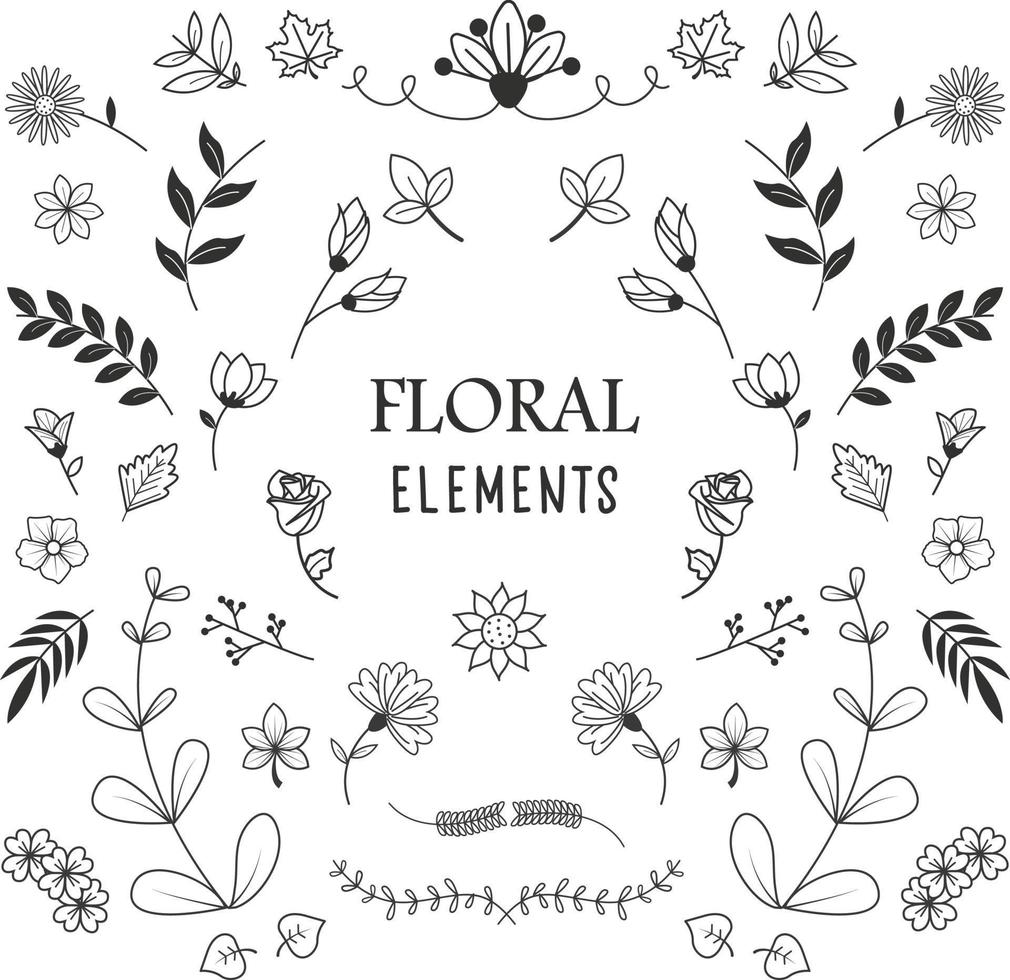 set of floral and botanical elements. Vector illustration