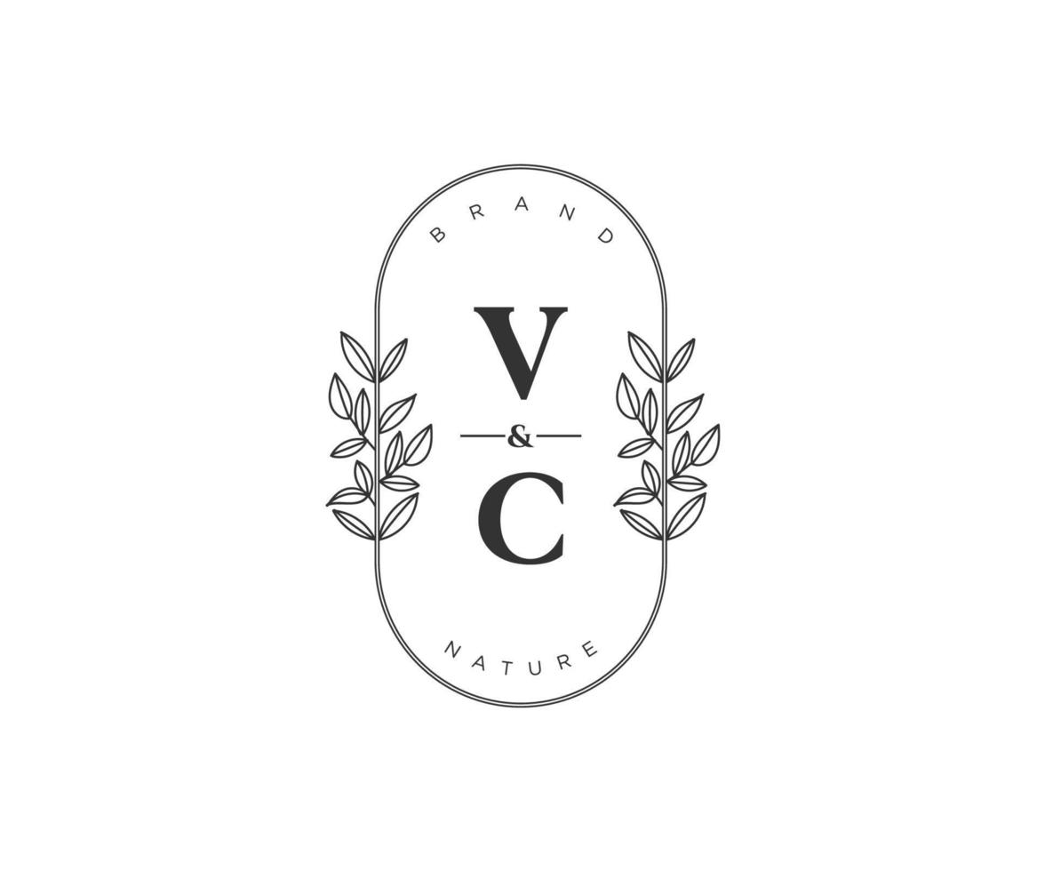 inicial vc letras hermosa floral femenino editable prefabricado monoline logo adecuado para spa salón piel pelo belleza boutique y cosmético compañía. vector