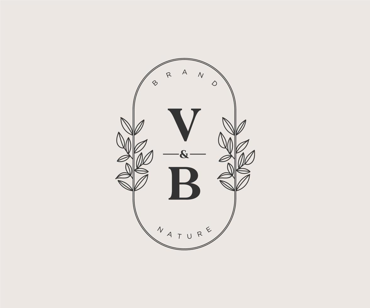 initial VB letters Beautiful floral feminine editable premade monoline logo suitable for spa salon skin hair beauty boutique and cosmetic company. vector