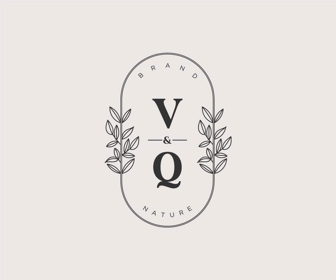 initial VQ letters Beautiful floral feminine editable premade monoline logo suitable for spa salon skin hair beauty boutique and cosmetic company. vector