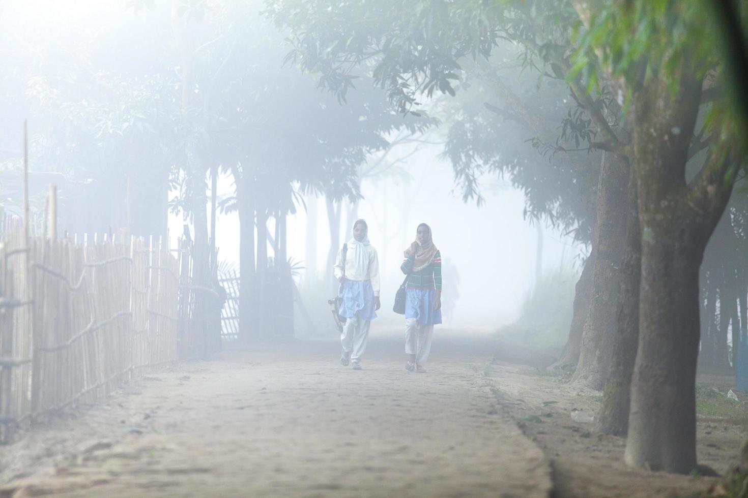 On a foggy winter morning scene at Ranisankail, Thakurgaon. photo