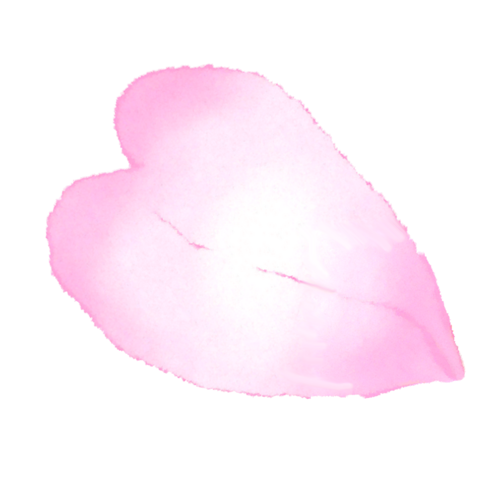 pétale de fleur rose png