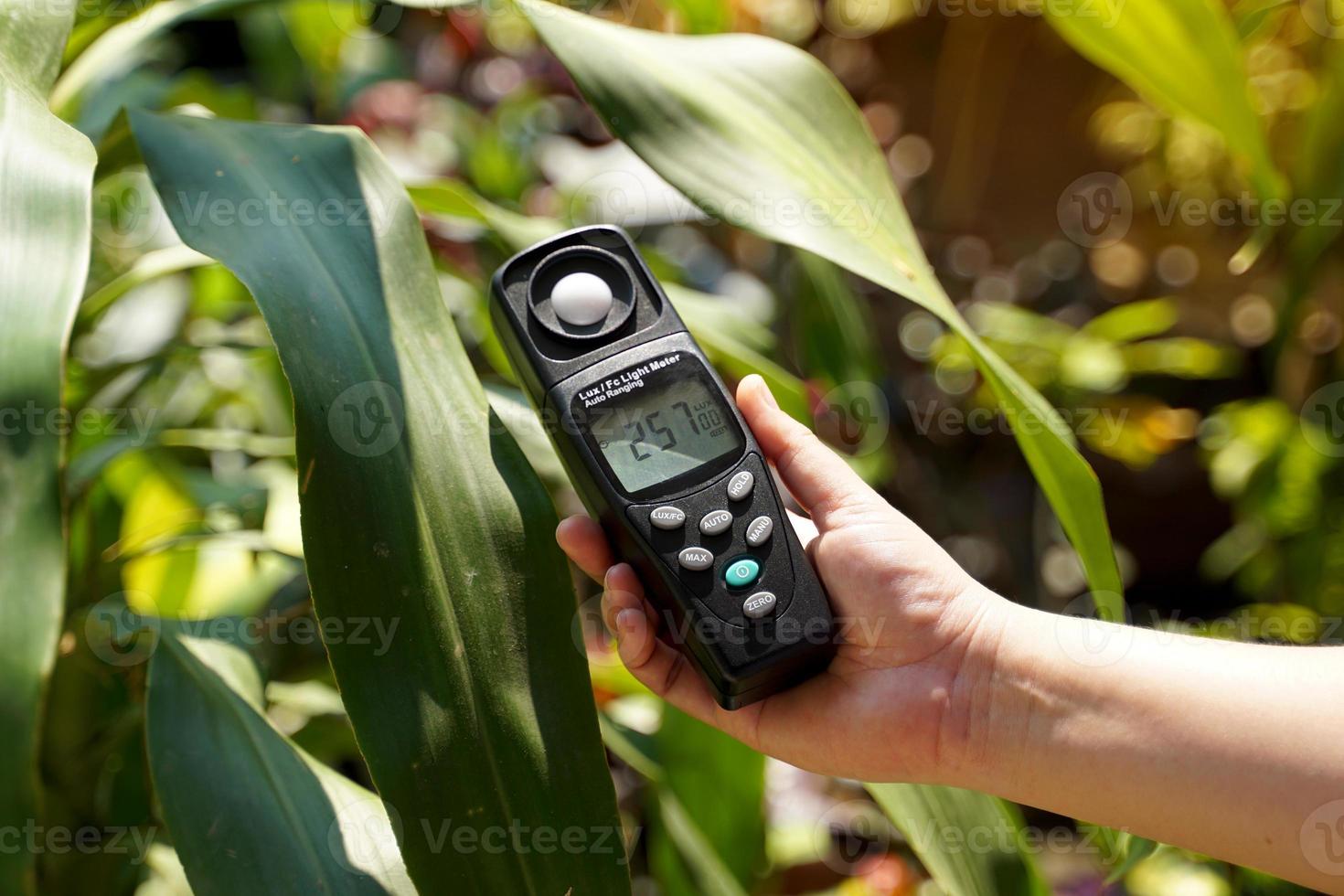 Light meter, Lux Light Meter in hand while measuring light intensity quantity and the brightness of the light suitable for the tree. soft and selective focus. photo