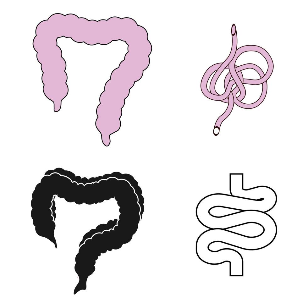 intestine simple icon vector